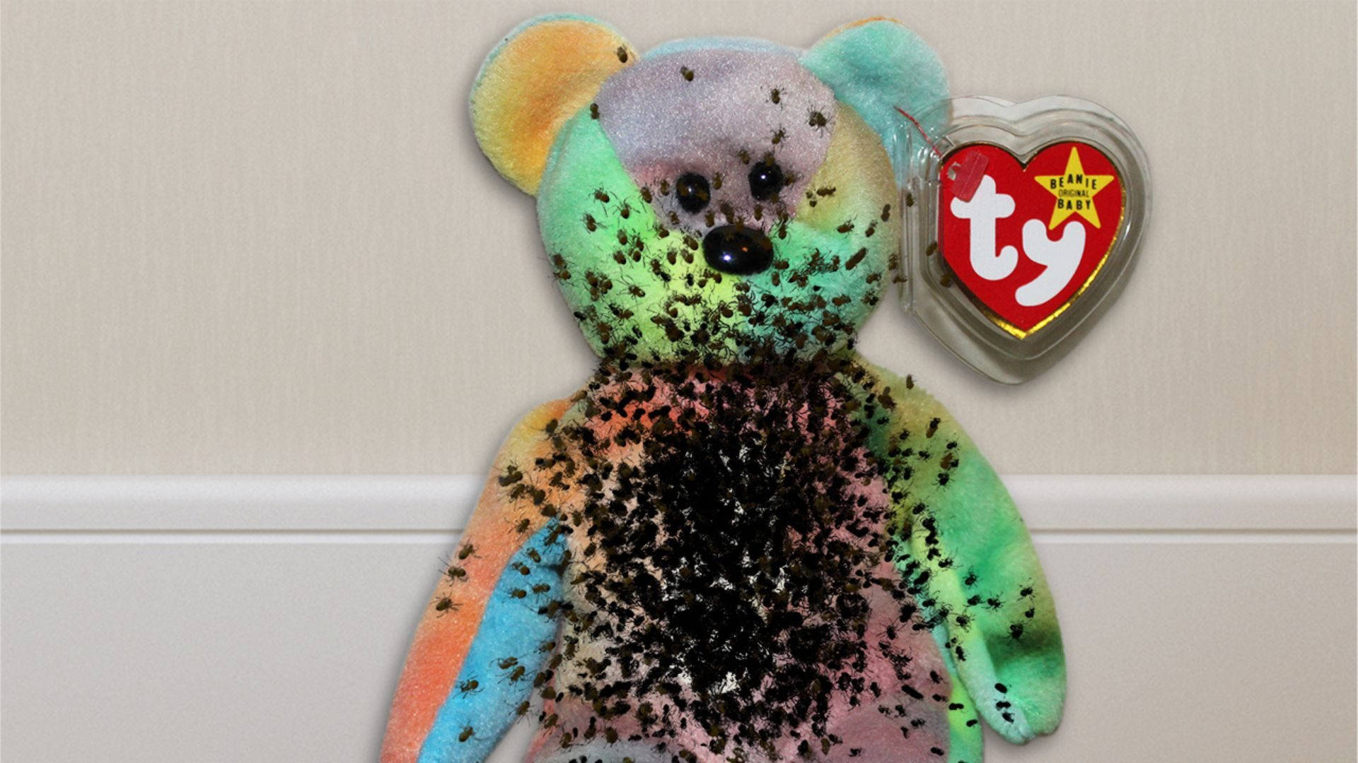 Rainbow Bear Beanie Boos Wallpaper