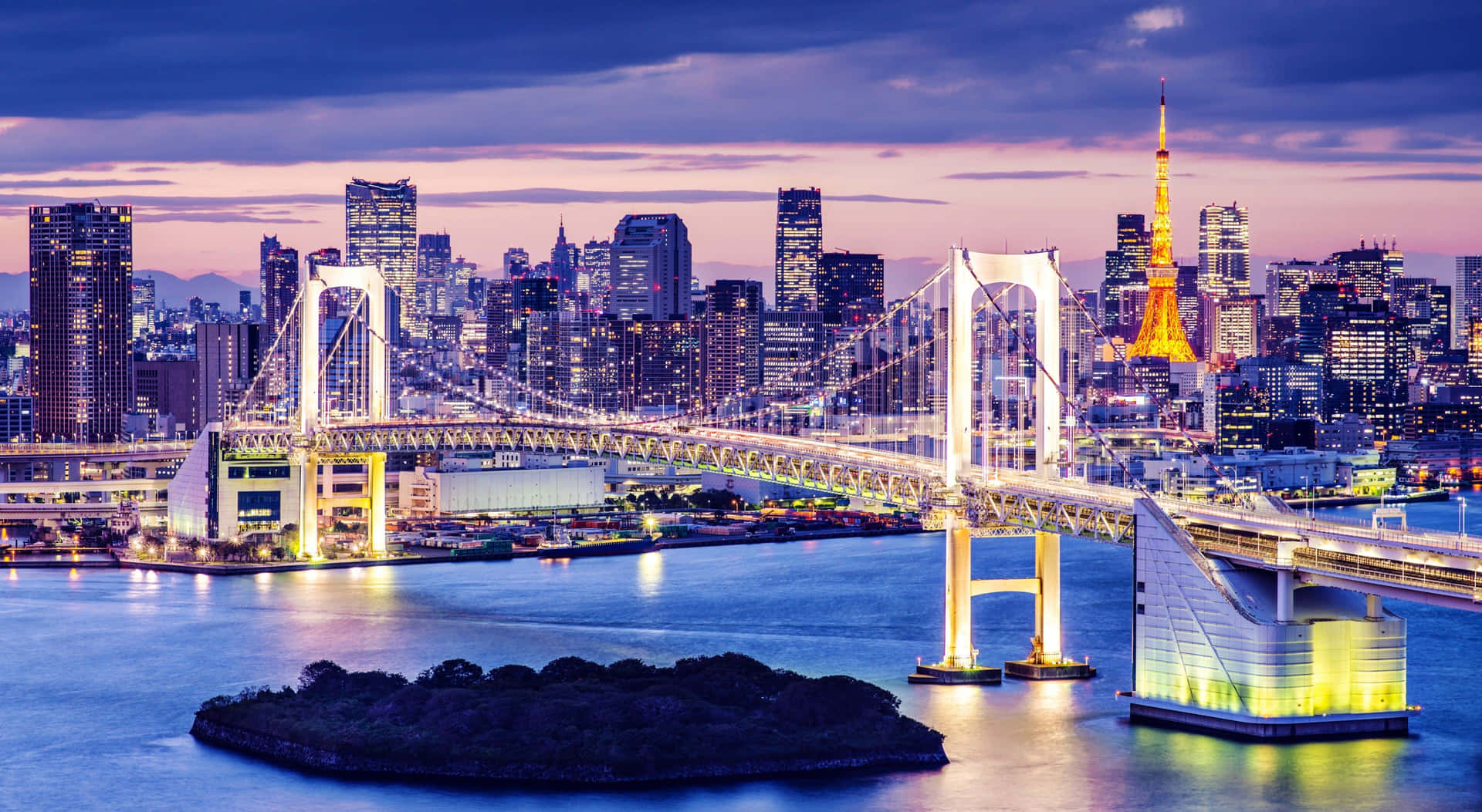 A view of the iconic Rainbow Bridge connecting Tokyo and Odaiba, Japan