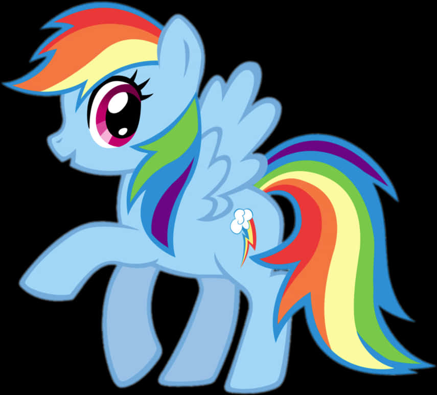 Rainbow Dash My Little Pony PNG