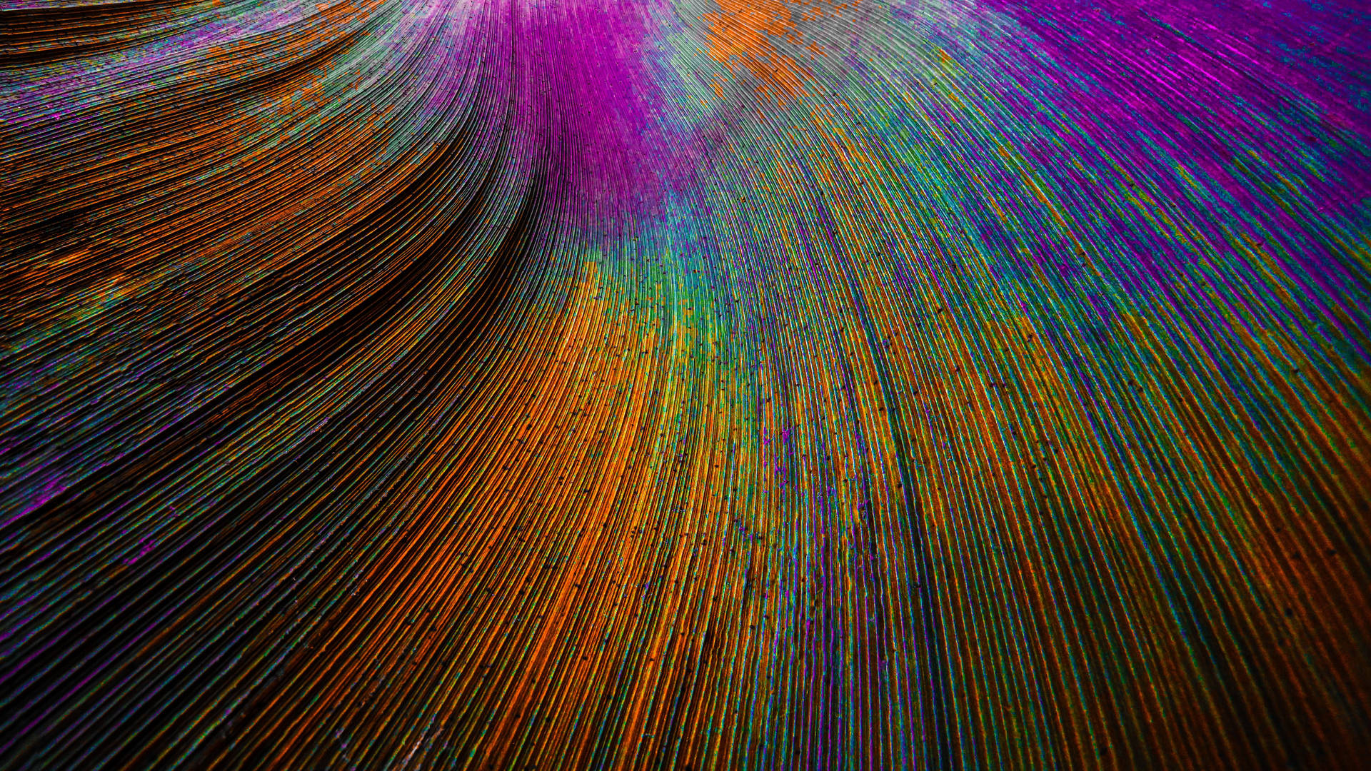Rainbow Feathers In 4d Ultra Hd
