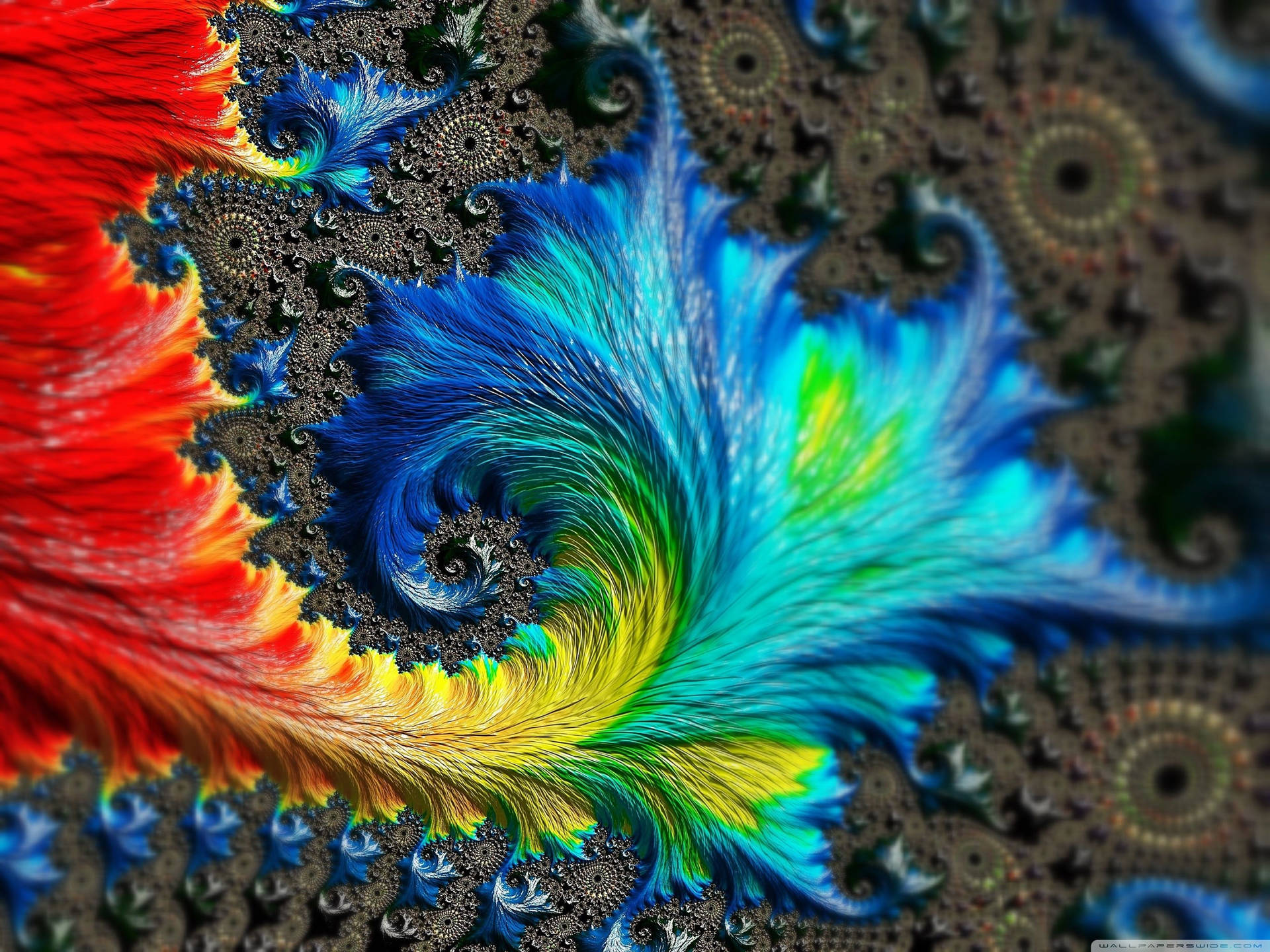 Rainbow Fishtail Fractal Pattern