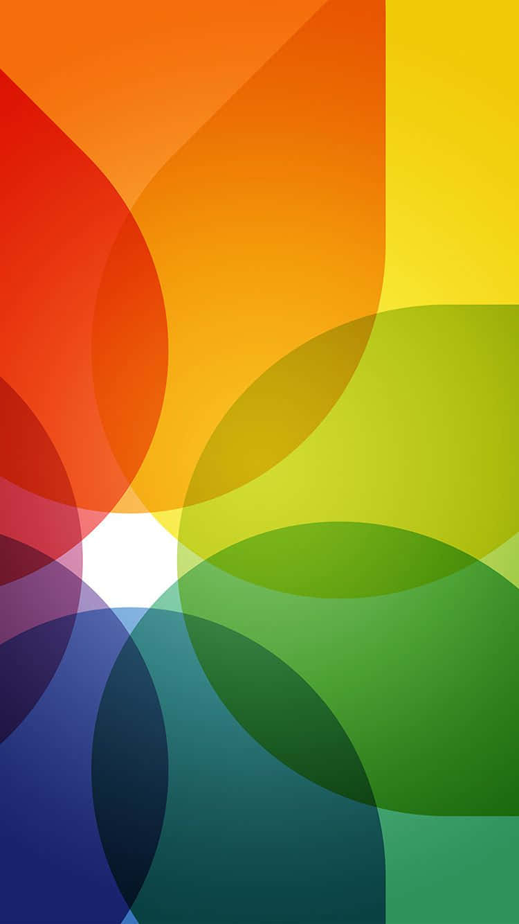 Rainbow Flower Iphone Digital Petals Wallpaper