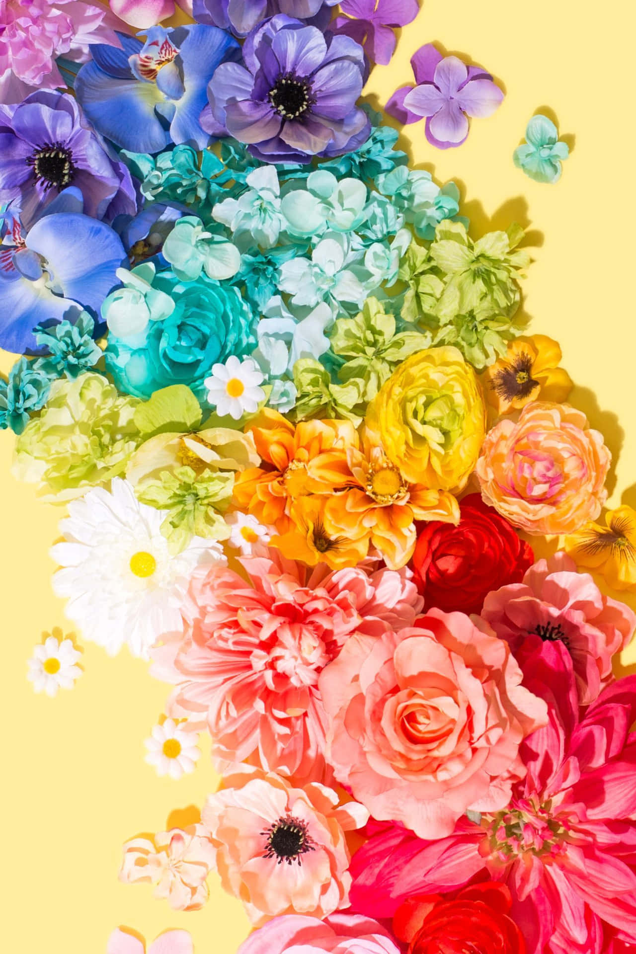 Rainbow Flower iPhone On Yellow Background Wallpaper