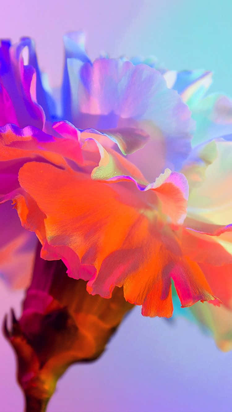 En levende regnbueblomst snoet omkring en iPhone. Wallpaper