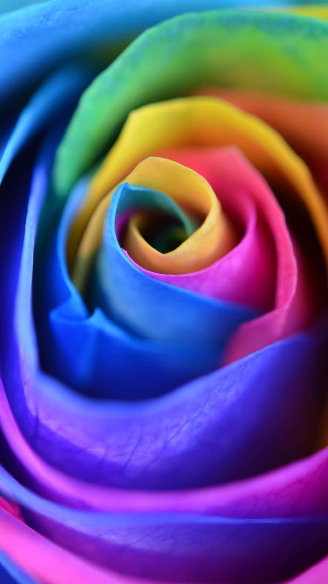 Tilføj et udbrud af farver til din smartphone med denne Rainbow Flower iPhone-tapet! Wallpaper