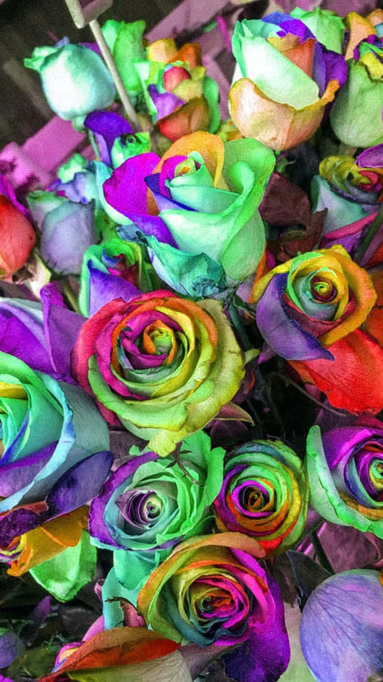 Bringefarbenpracht Auf Dein Iphone Mit Diesem Regenbogenblumenbildschirmhintergrund. Wallpaper