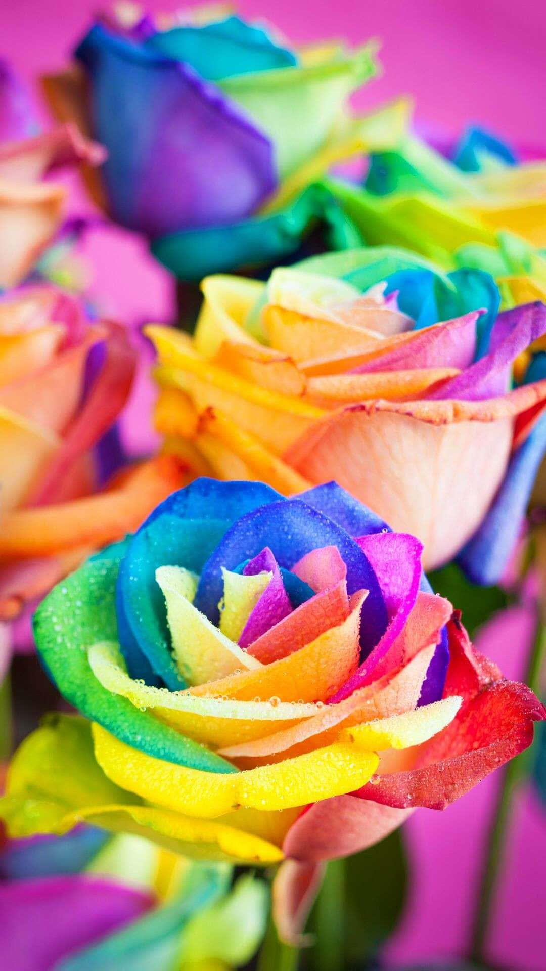 Läggtill En Sprakande Färg Till Din Telefon Med Denna Rainbow Flower Iphone-bakgrundsbild. Wallpaper