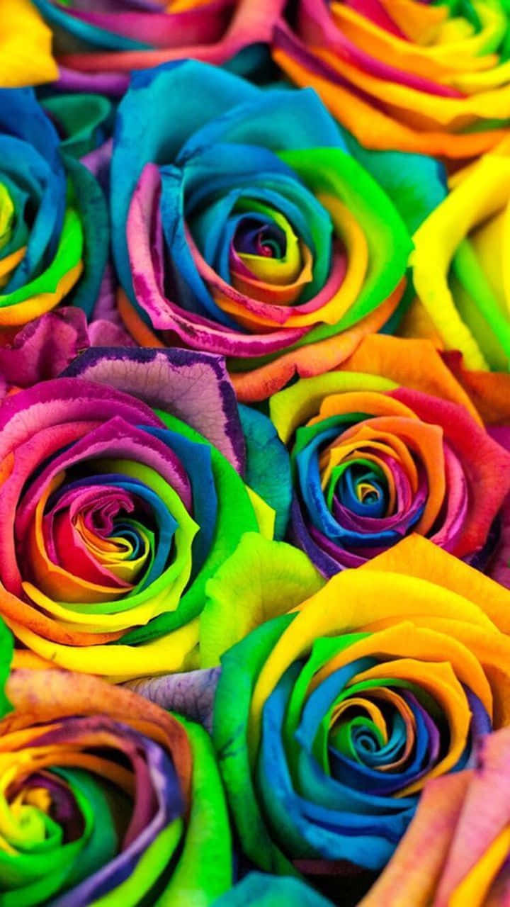 Rainbow Roses In A Bouquet Wallpaper