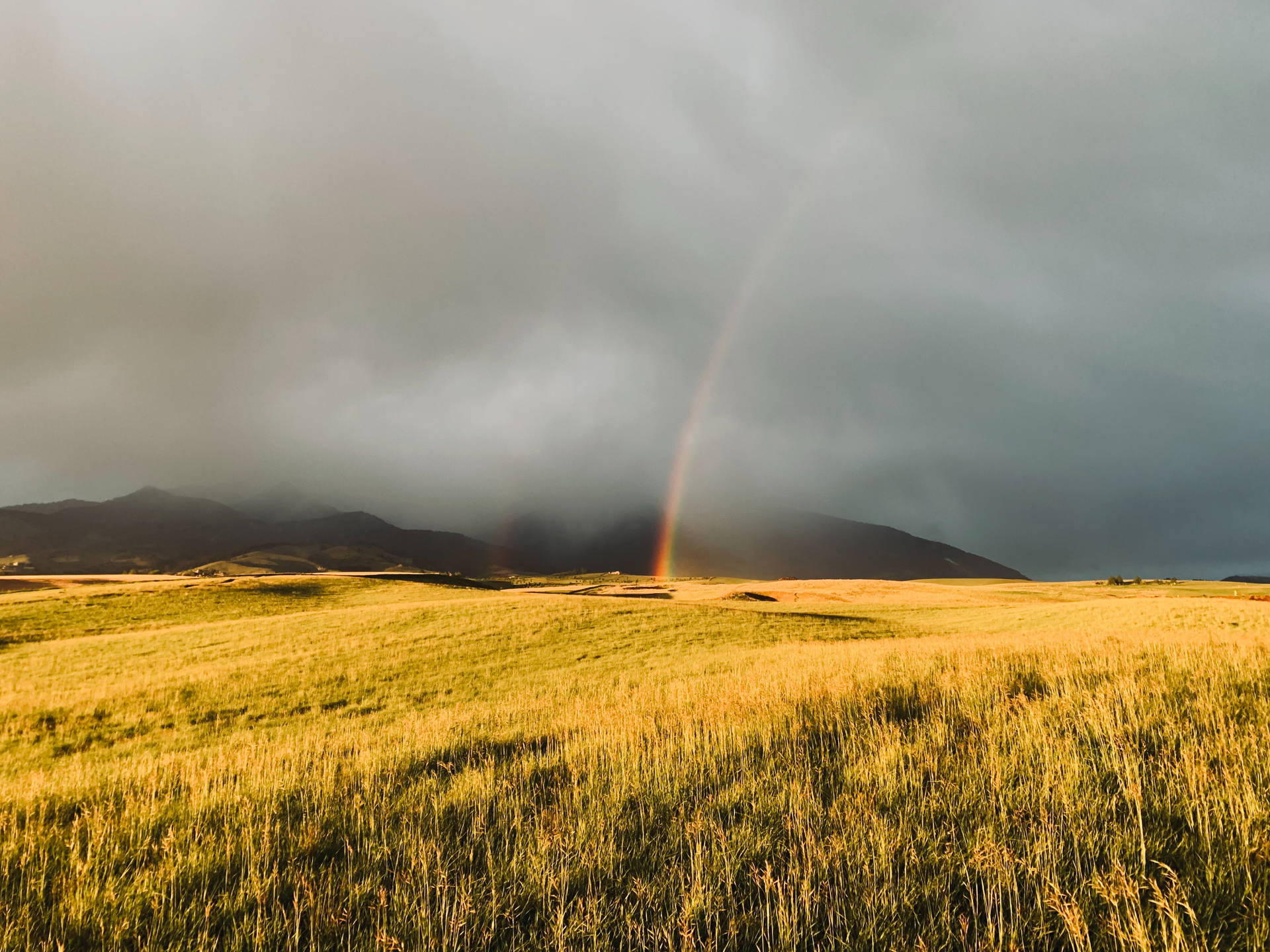 Vibrant rainbow arcing across a lush green field Wallpaper