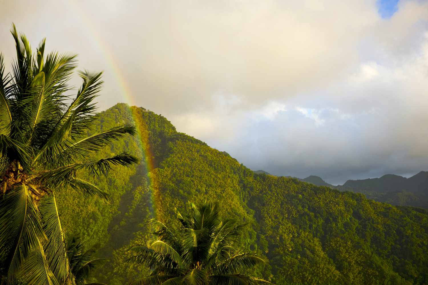Rainbow In St. Lucia Wallpaper