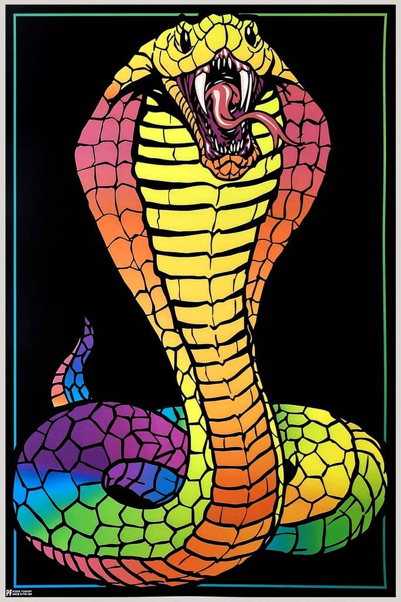 Rainbow King Cobra Wallpaper