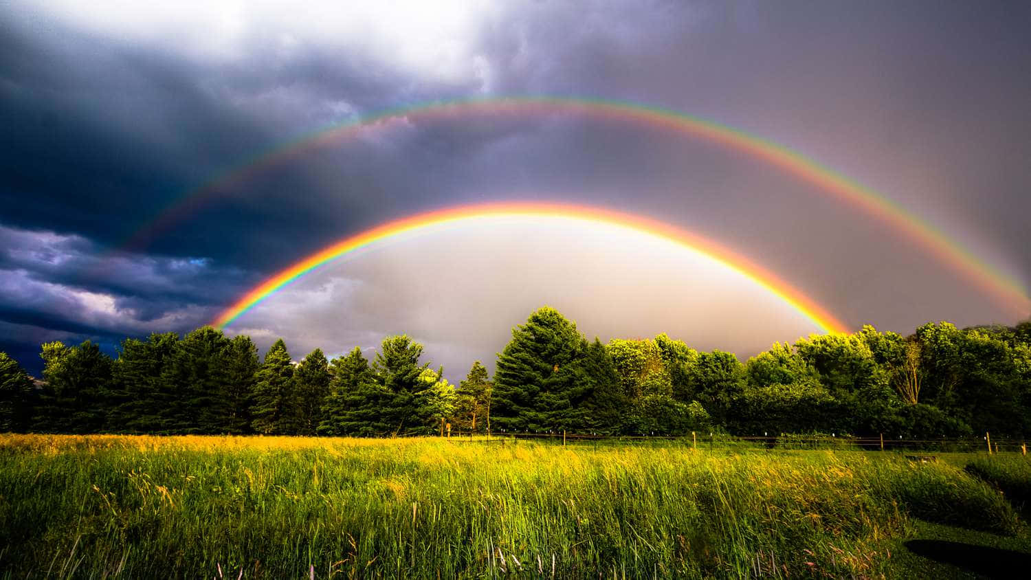 Diebeeindruckende Schönheit Eines Regenbogens Einfangen