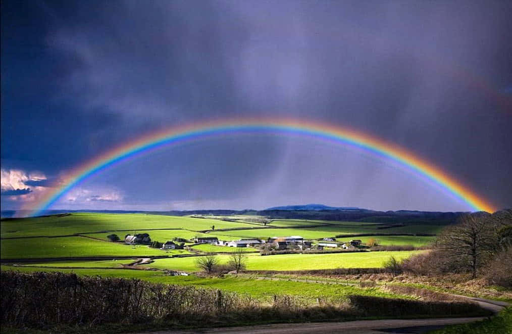 A multicolored rainbow pierces a darkened sky, creating a magical moment