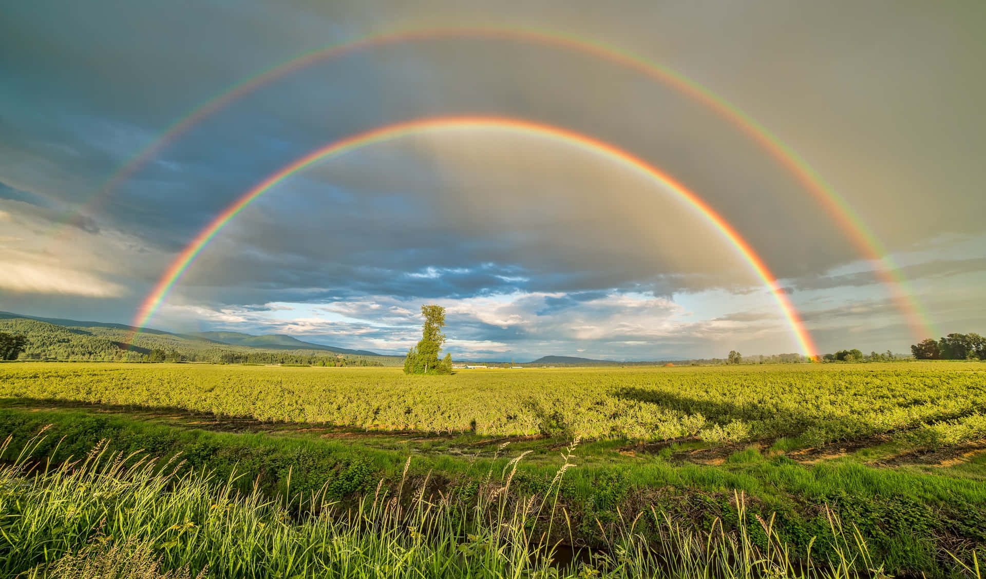 A colorful rainbow stretching across a bright blue sky