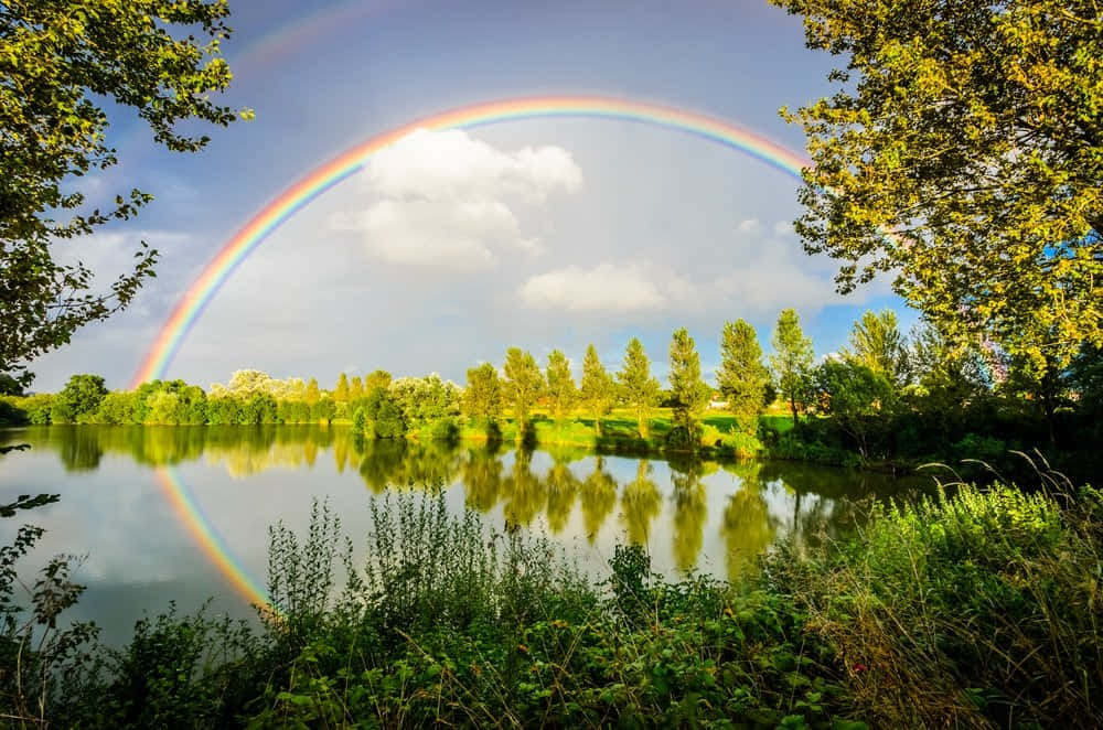 Enjoying the beauty of nature with a spectacular rainbow