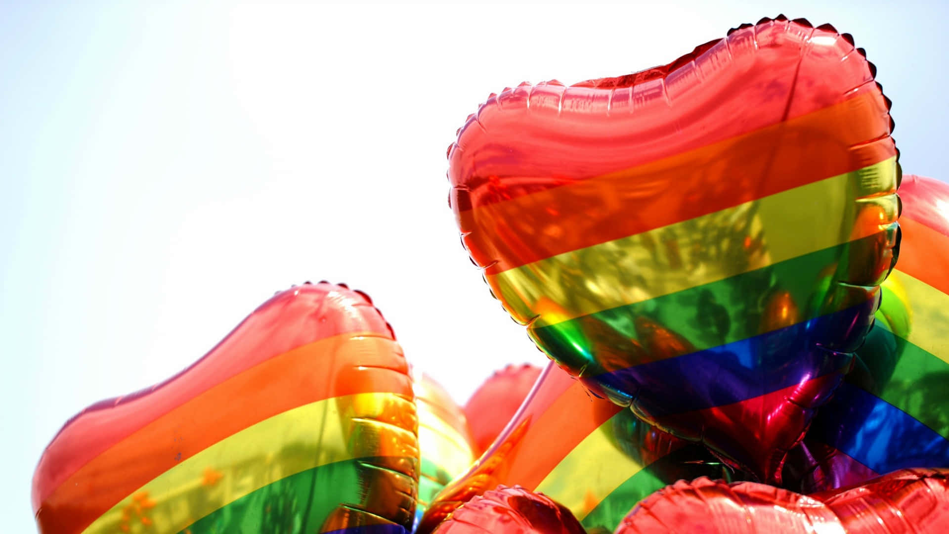 Rainbow Pride Balloons Sky Wallpaper