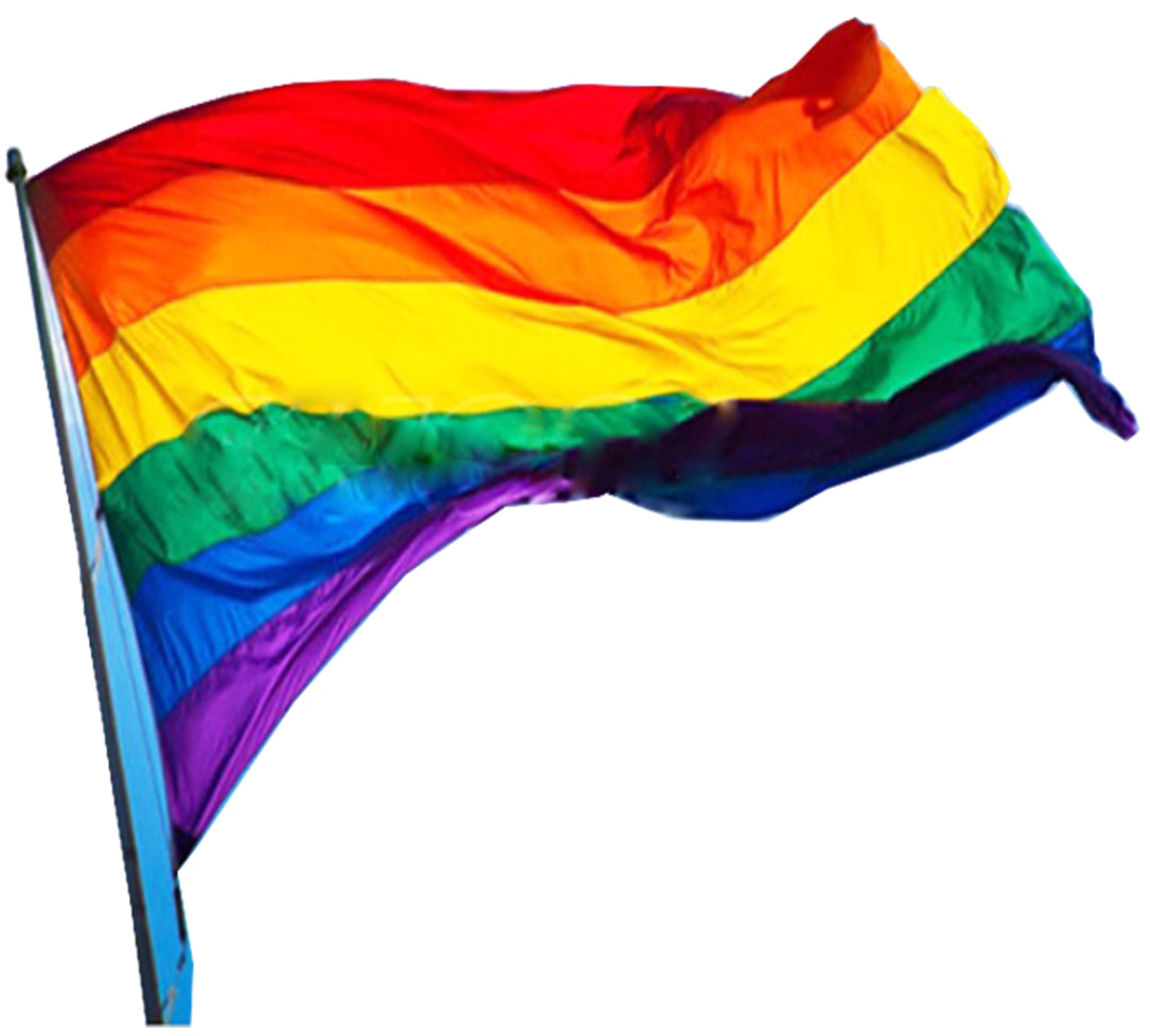 Rainbow Pride Flag Waving PNG