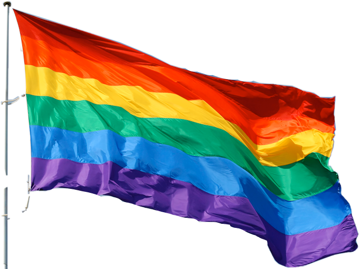 Rainbow Pride Flag Waving PNG