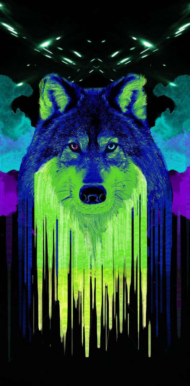 Look and behold the beauty of this majestic Rainbow Wolf Wallpaper