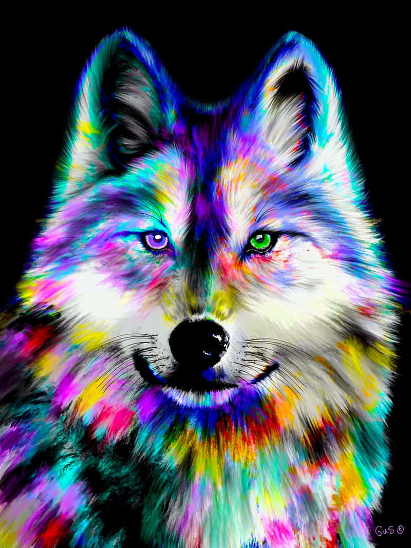 Free Rainbow Wolf Wallpaper Downloads, [100+] Rainbow Wolf Wallpapers for  FREE 