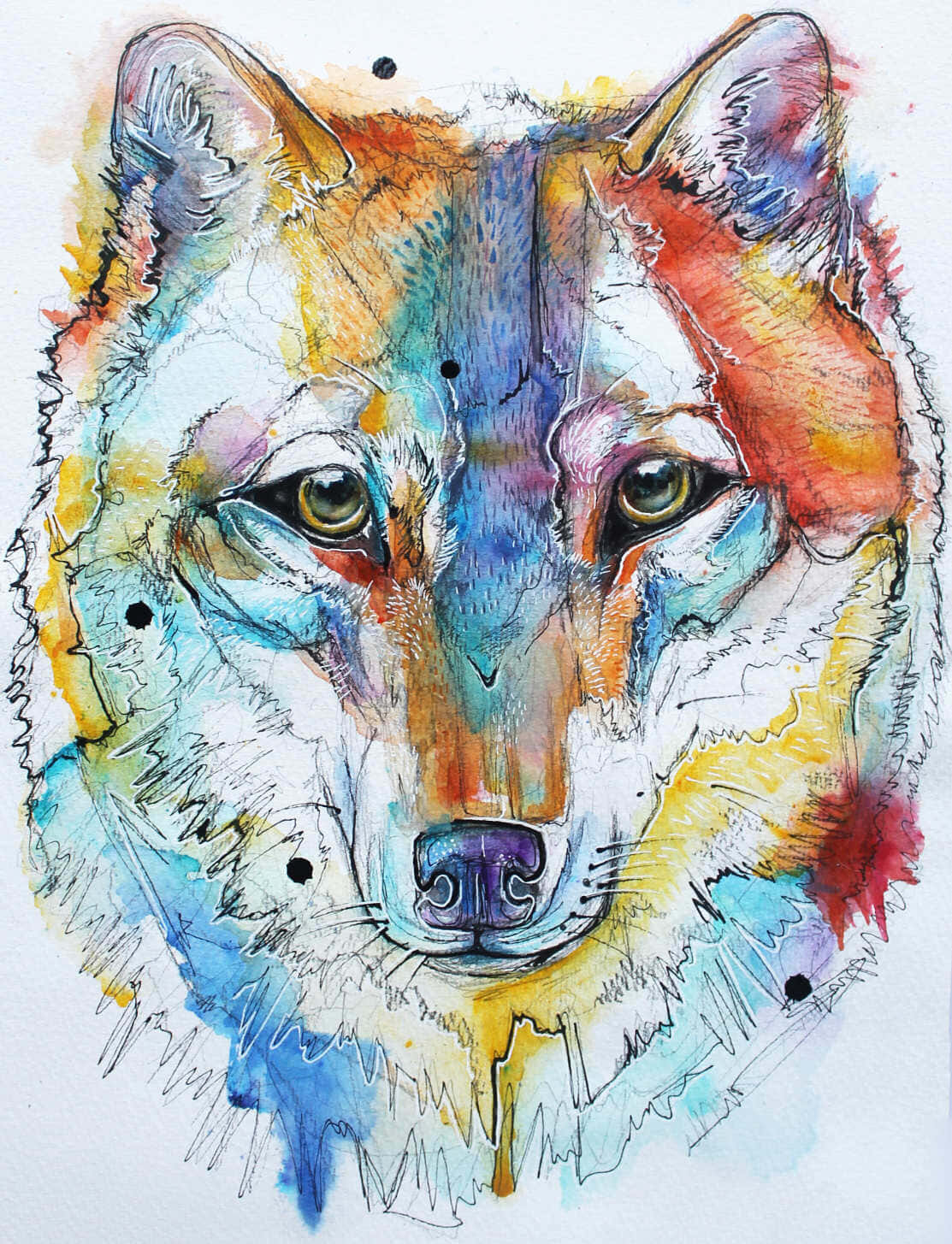 A Vision Of Splendor - A Rainbow Wolf Wallpaper