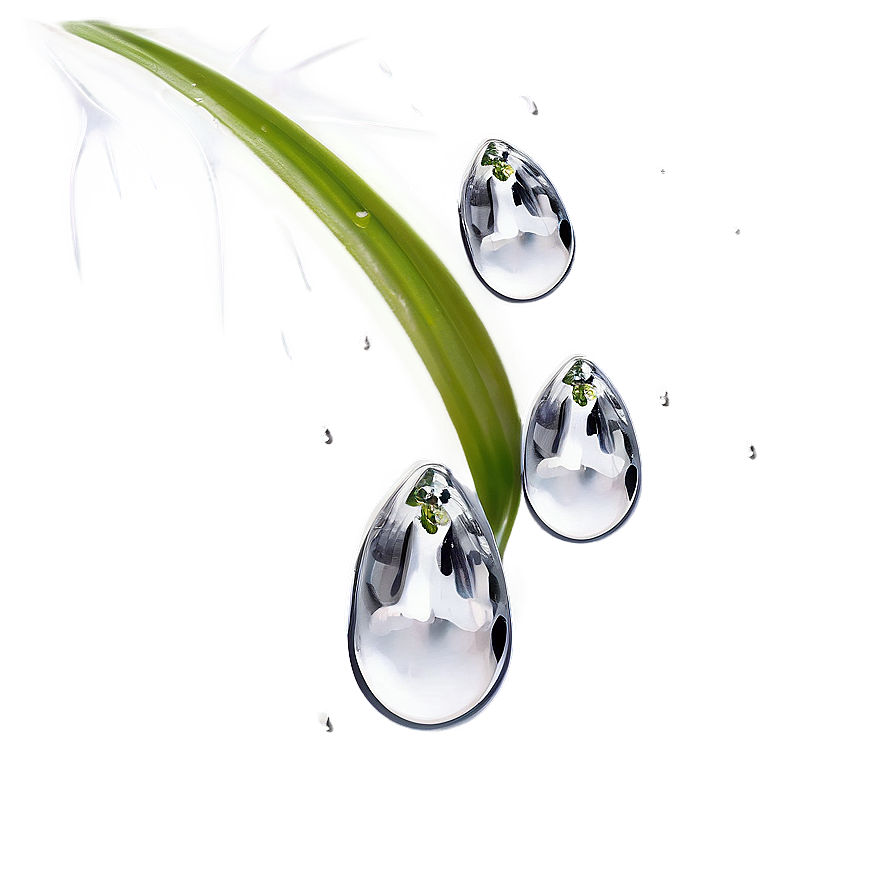 Raindrop On Petal Png Inx34 PNG