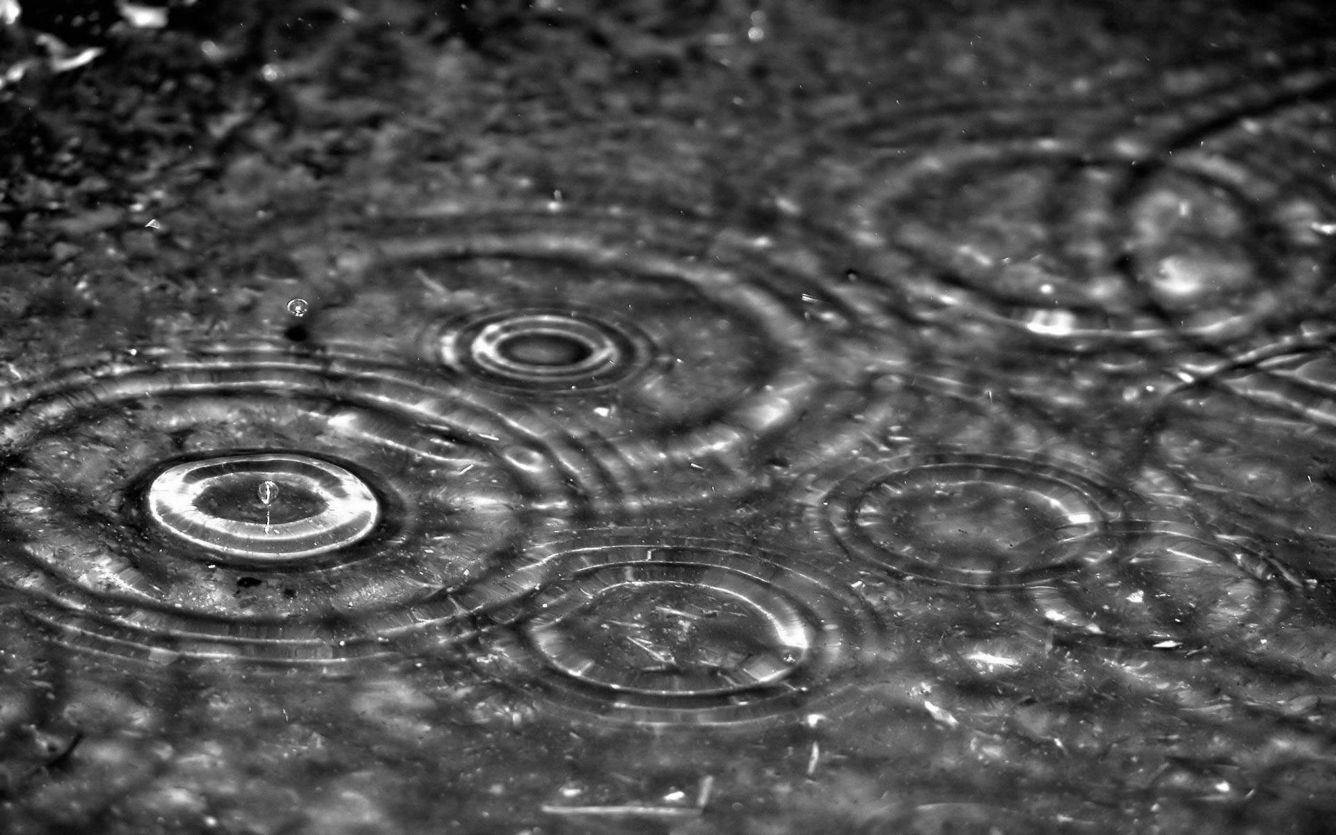 Raindrop Ripples Most Beautiful Rain