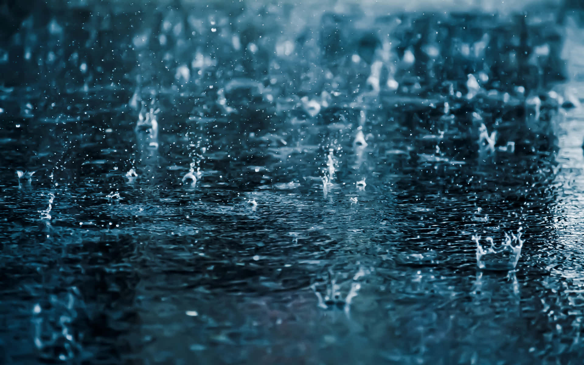 Raindrops_ Impact_on_ Water_ Surface_ H D Wallpaper