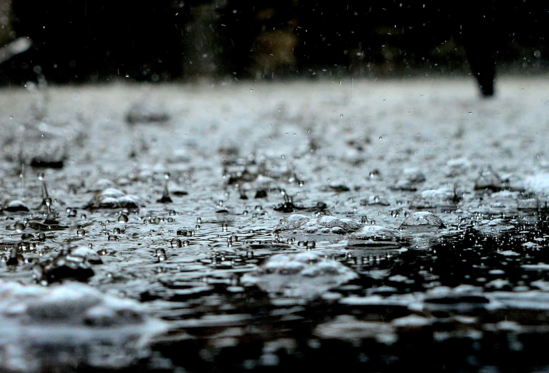 Raindrops_ Pattering_on_ Wet_ Surface_ H D Wallpaper