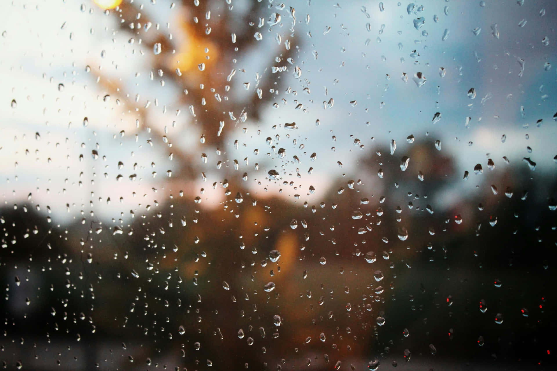 Raindropson Window Glass Wallpaper