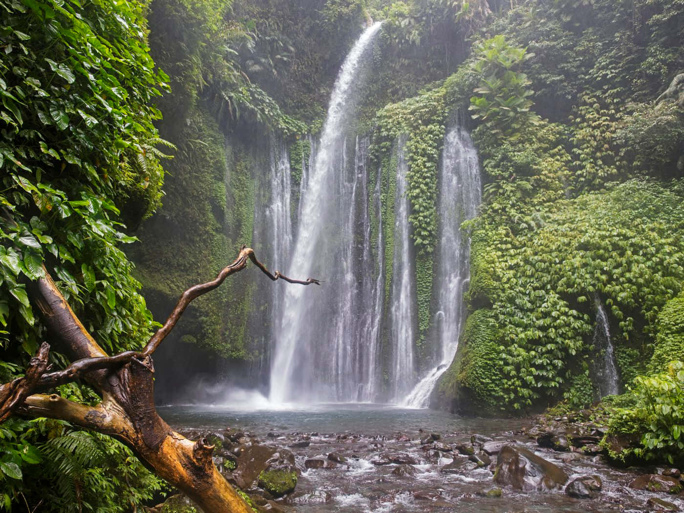 A Waterfall In A Lush Tropical Jungle