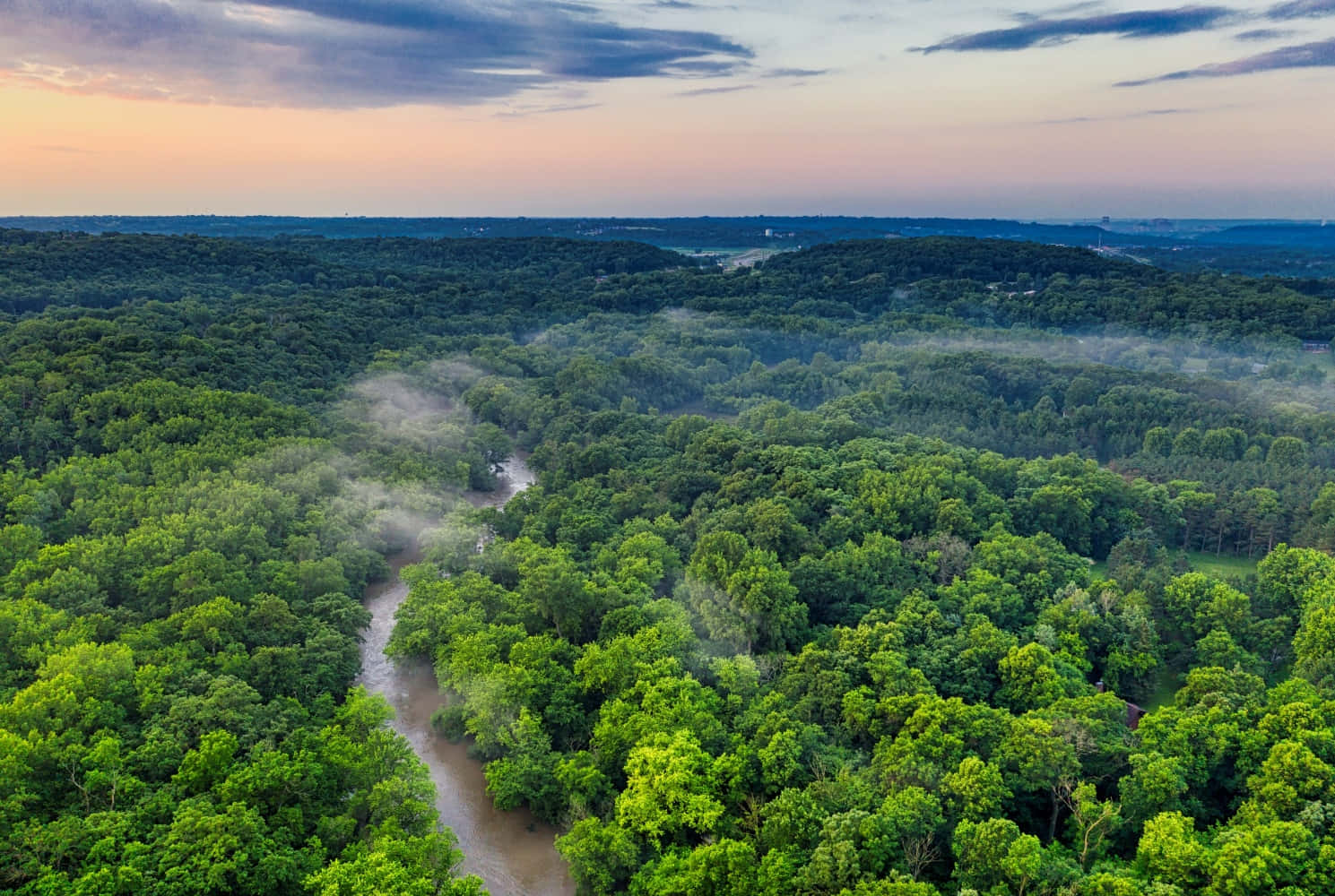 Aerial View Of A Forest At Sunrise