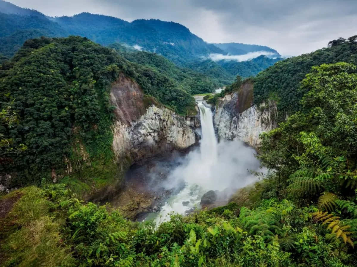Erlebensie Die Magie Der Natur Im Südamerikanischen Regenwald