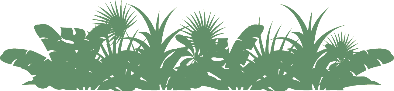 Rainforest Silhouette Vector PNG