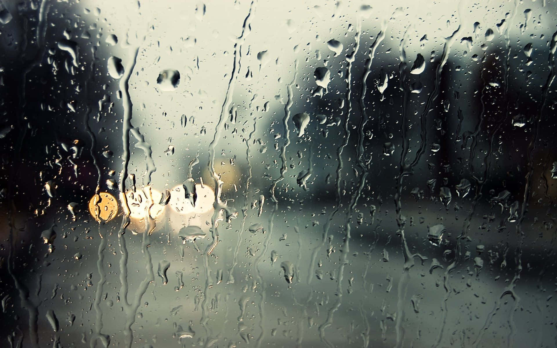 350+ Rain Wallpapers [HD] | Download Free Images & Stock Photos On Unsplash