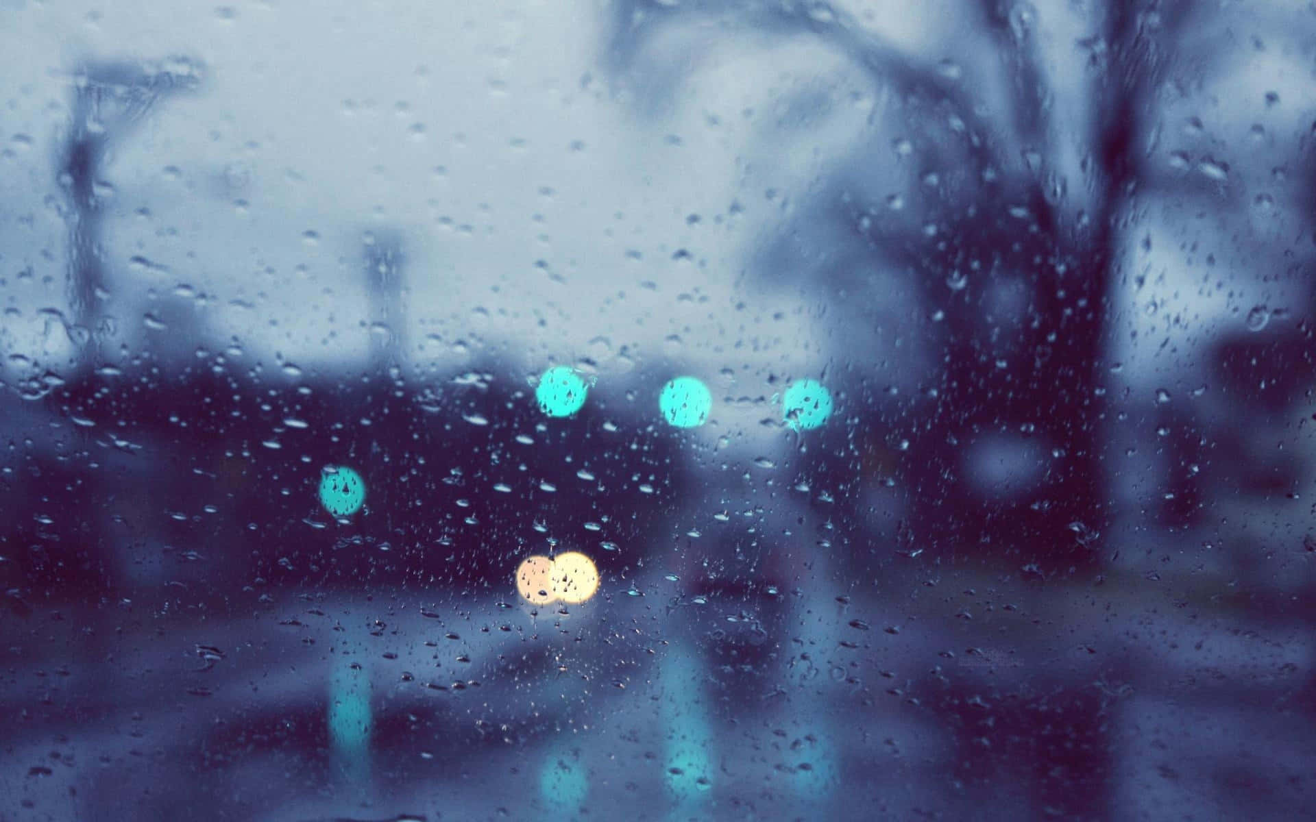 A street scene in the rain.
