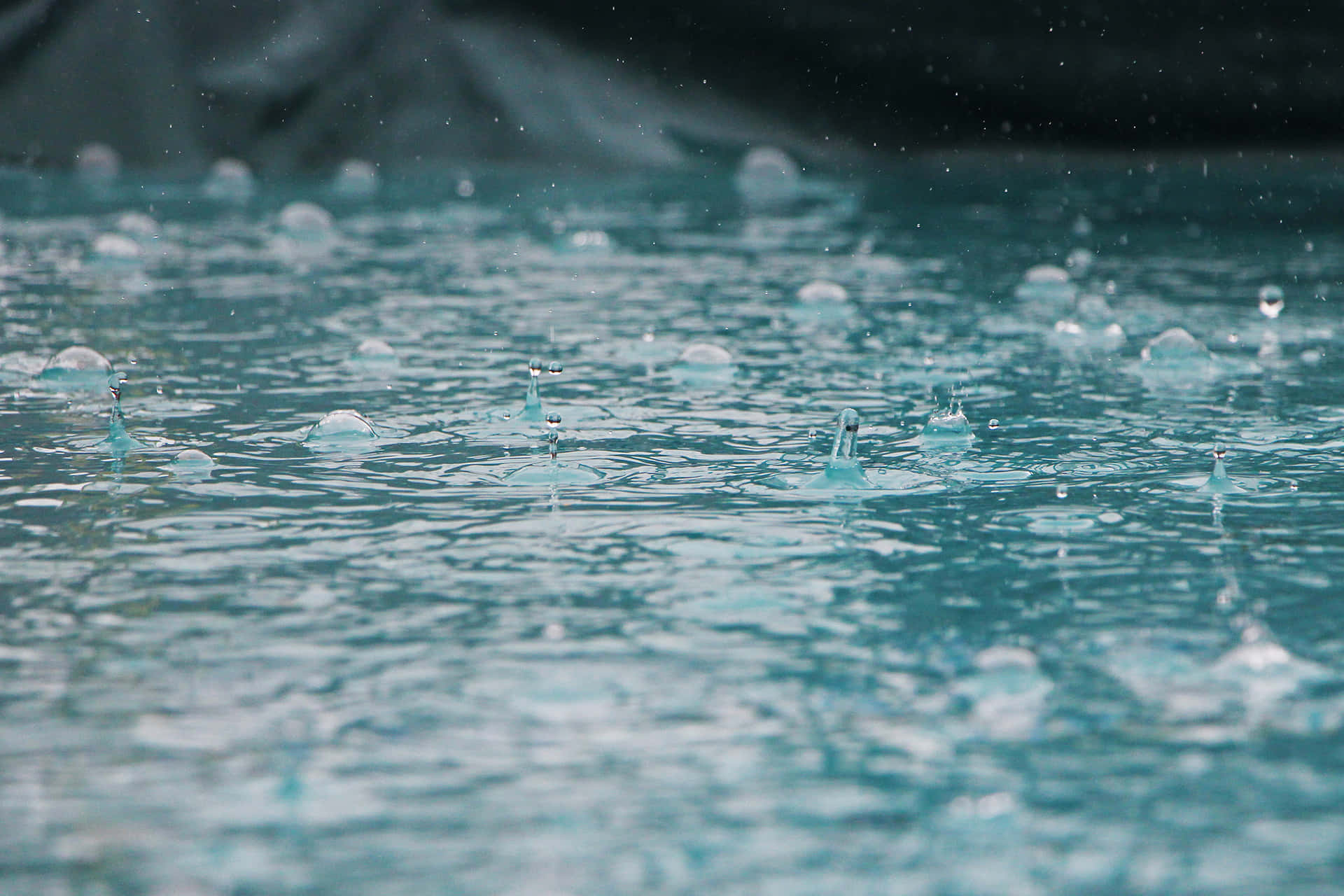 Regnpå Vattenpölar På En Regnig Dag Bild