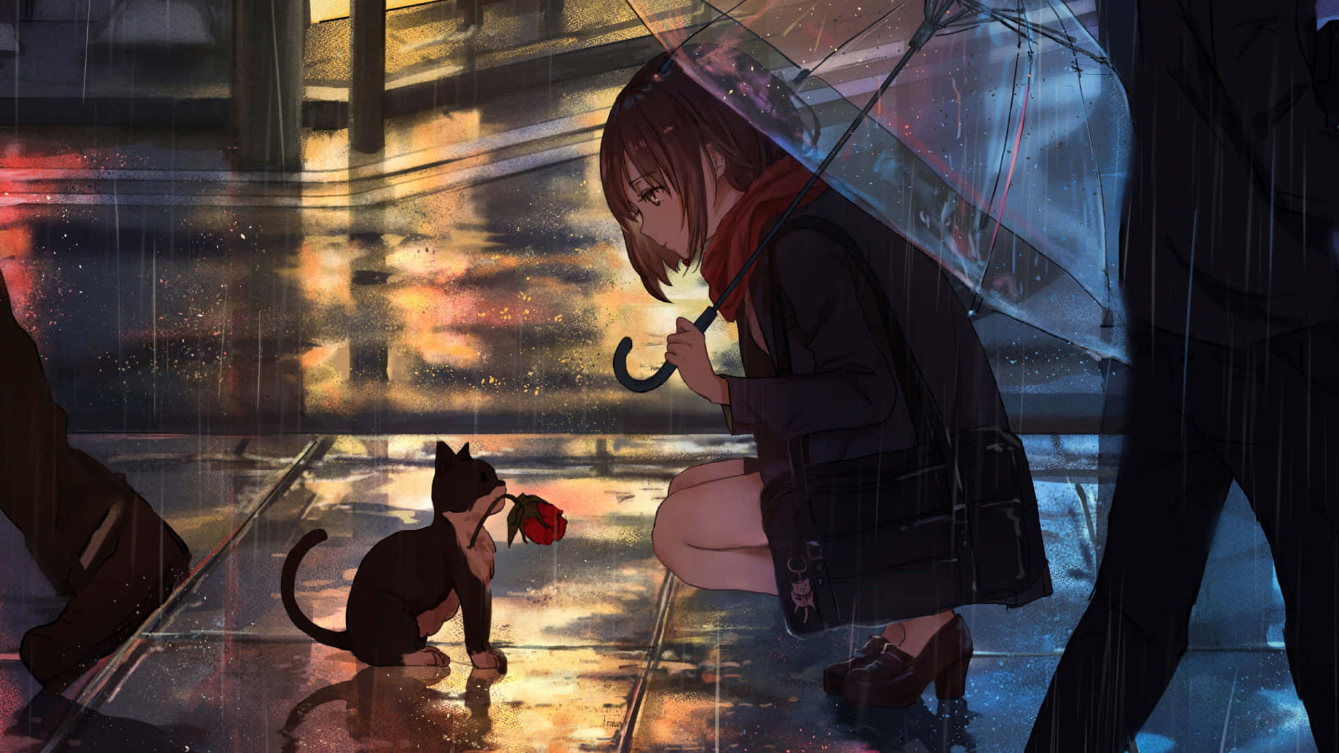Anime Girl With Cat On A Rainy Day Picture