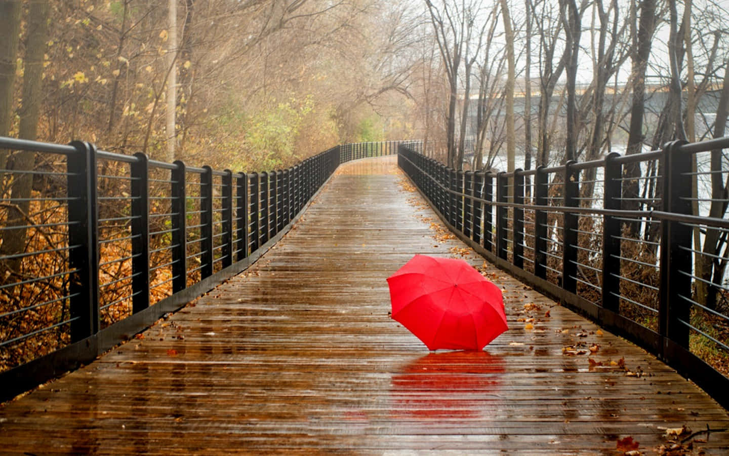 Rödparaply På Trästig På En Regnig Dag Bild