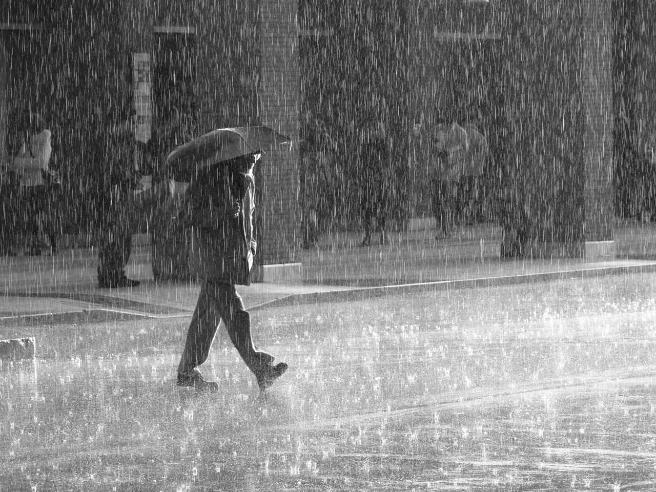 Man With Umbrella On Rainy Day In Black And White Picture
