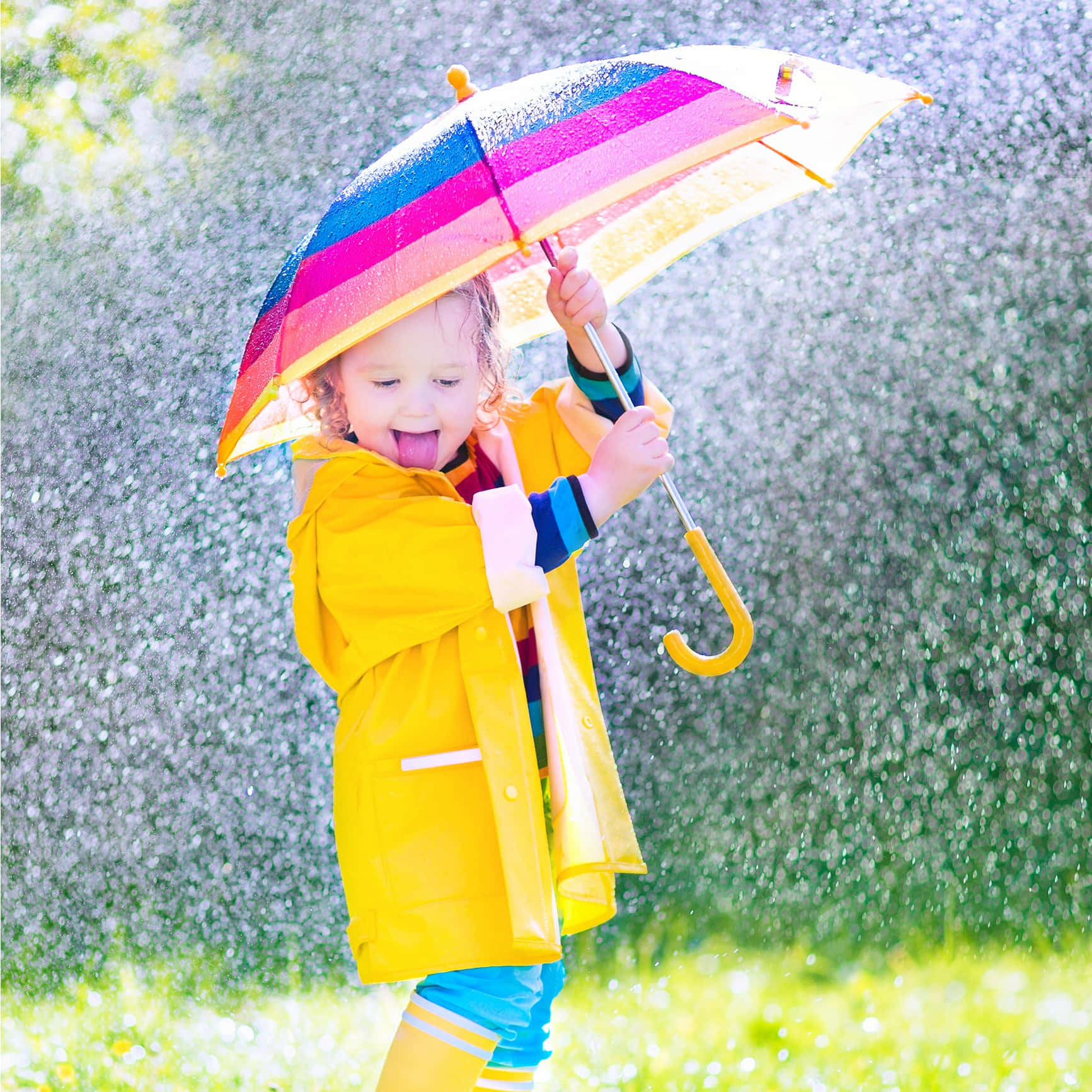 Happy Little Girl With Umbrella On Rainy Day Picture