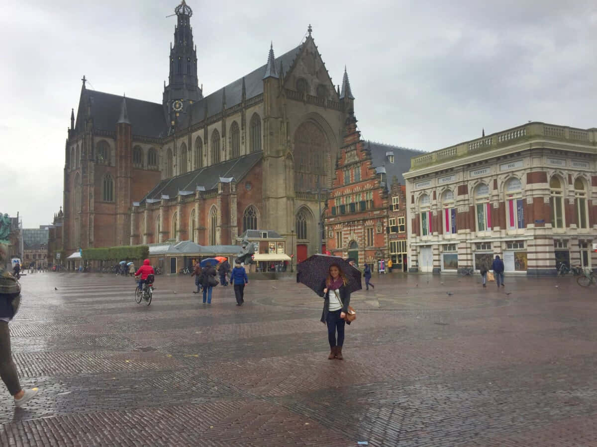 Rainy Dayin Haarlem Square Wallpaper