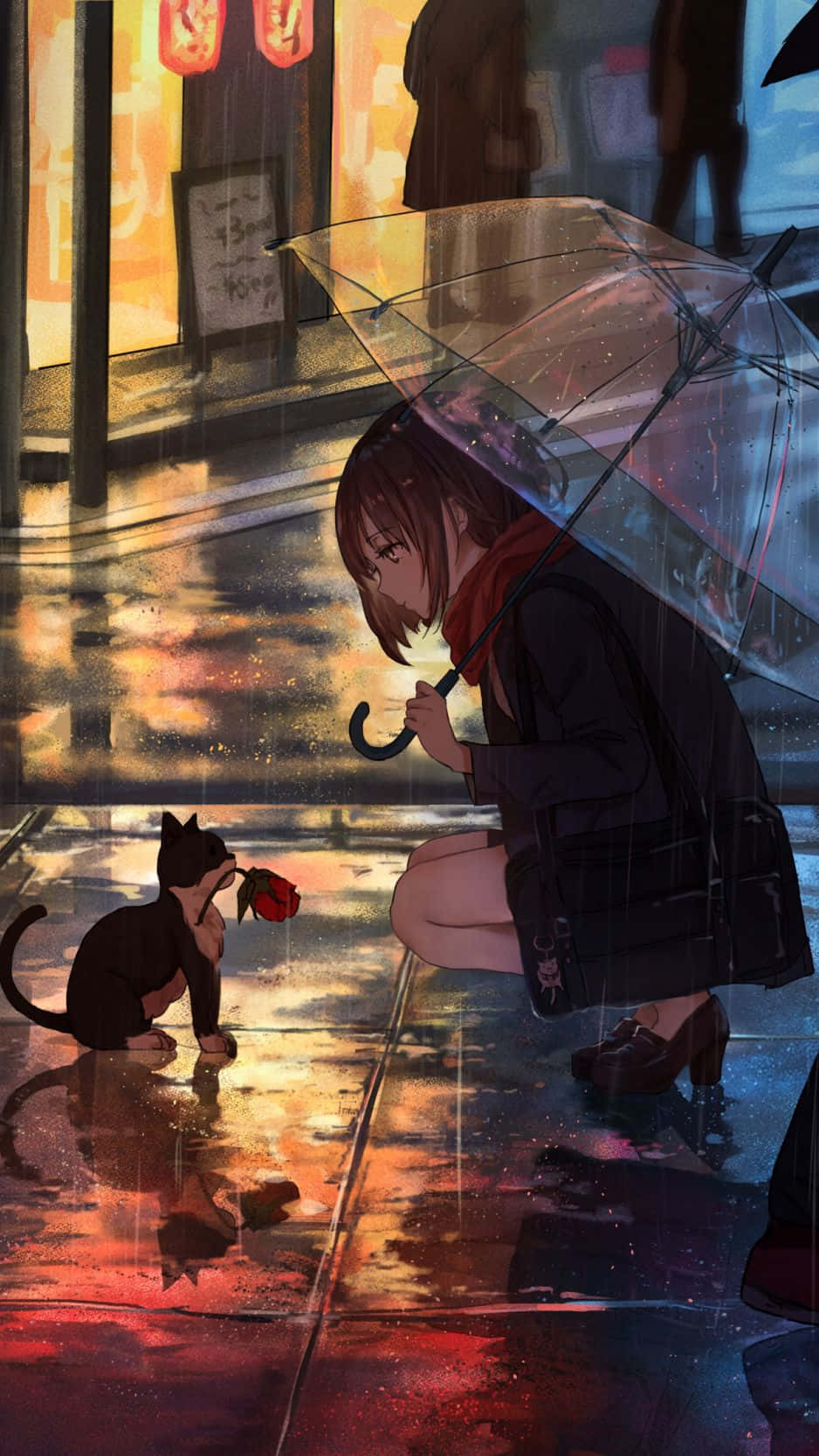 Rainy Encounter With A Cat Wallpaper