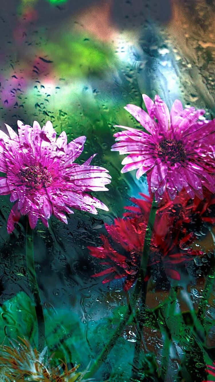 Rainy Floral Reflections.jpg Wallpaper
