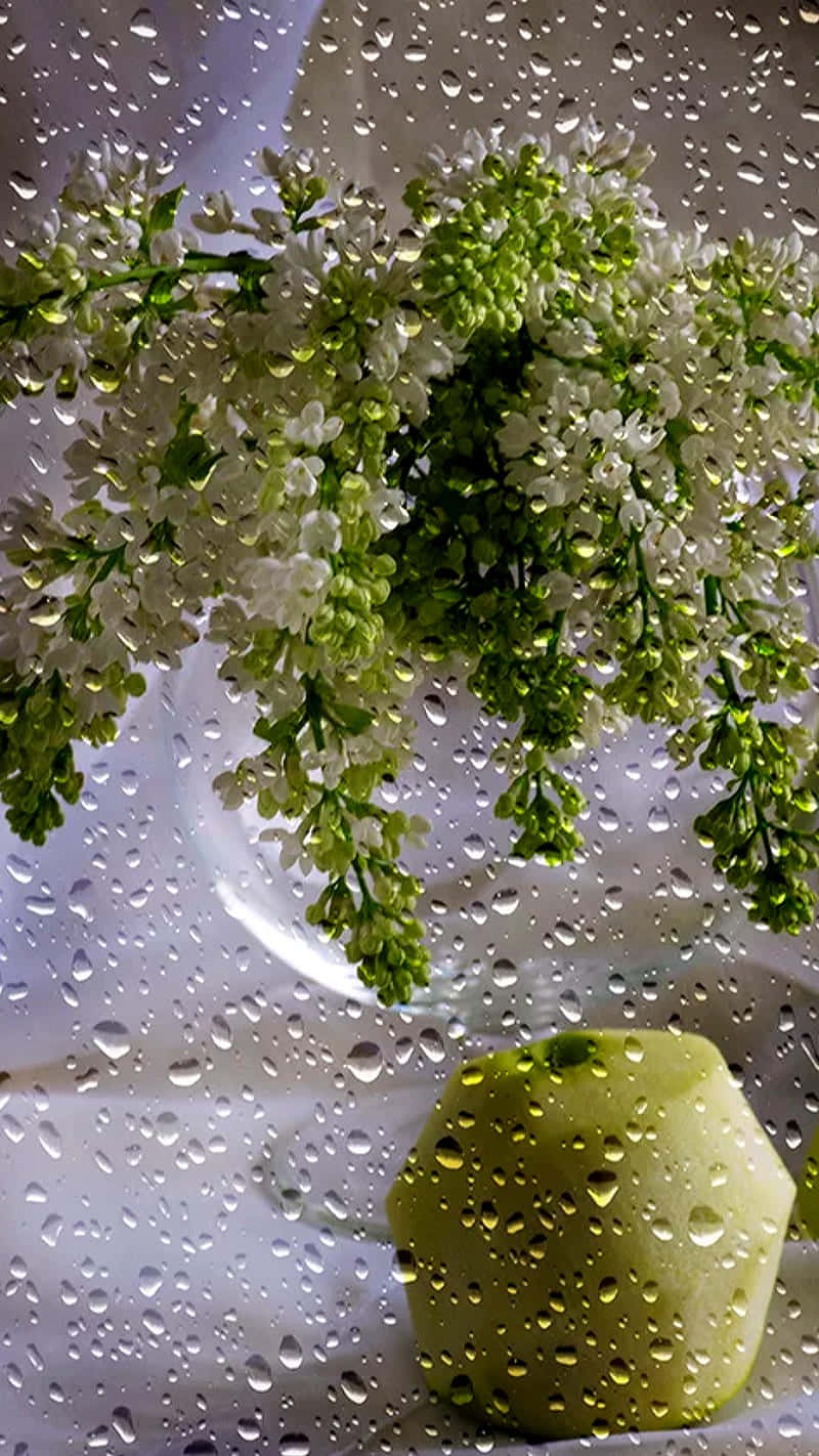 Rainy Floral Still Life.jpg Wallpaper