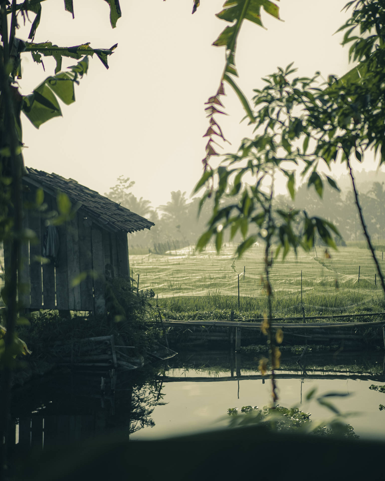 Image  A picturesque view of the countryside on a rainy day. Wallpaper