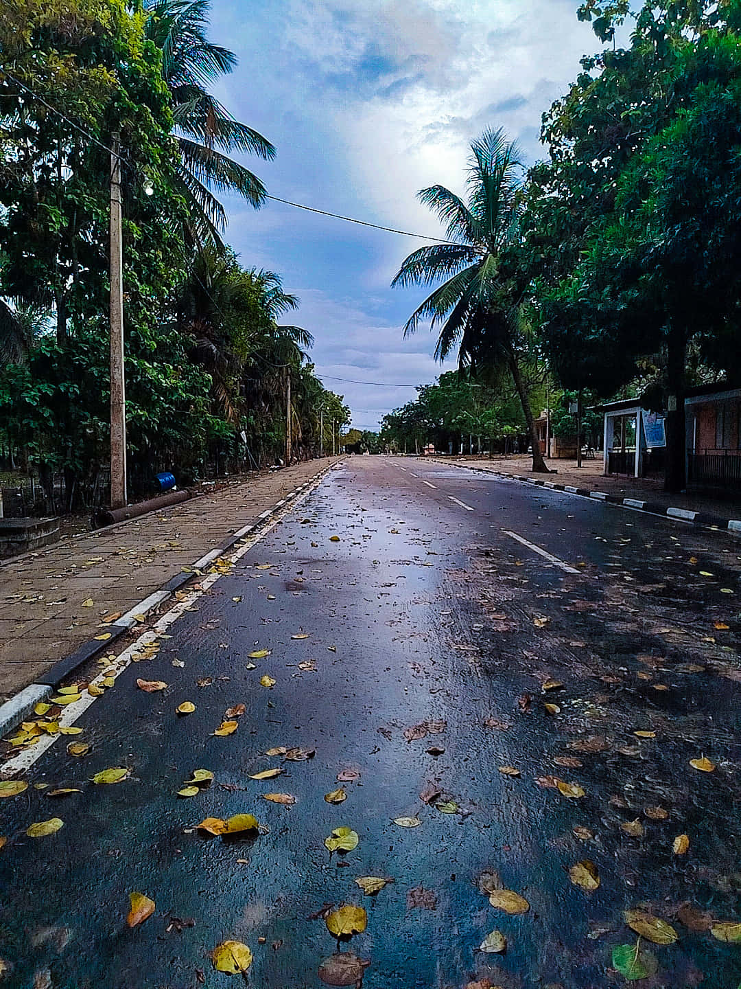 Rainy Street Wallpaper