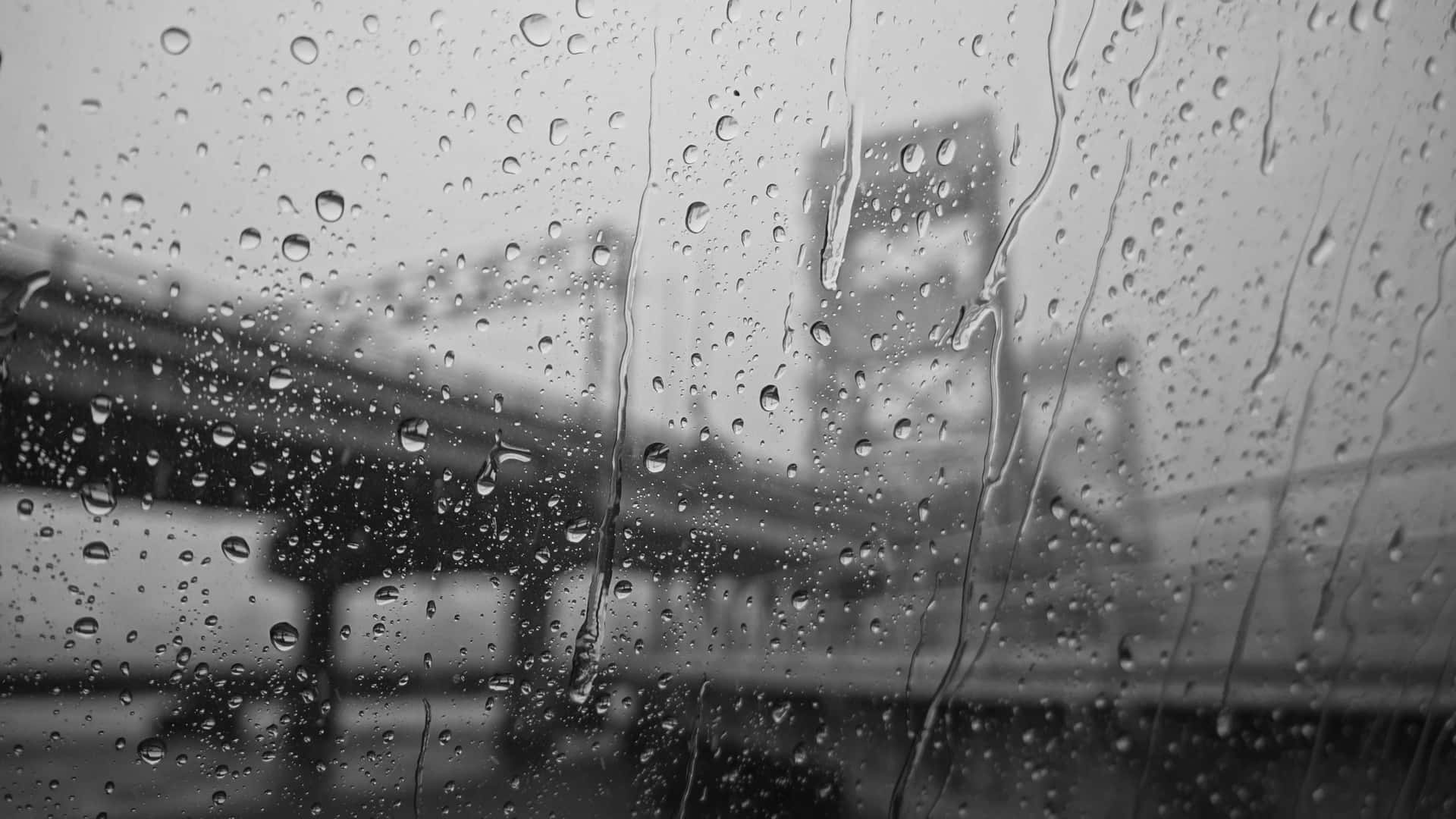 Rainy_ Window_ Black_and_ White Wallpaper