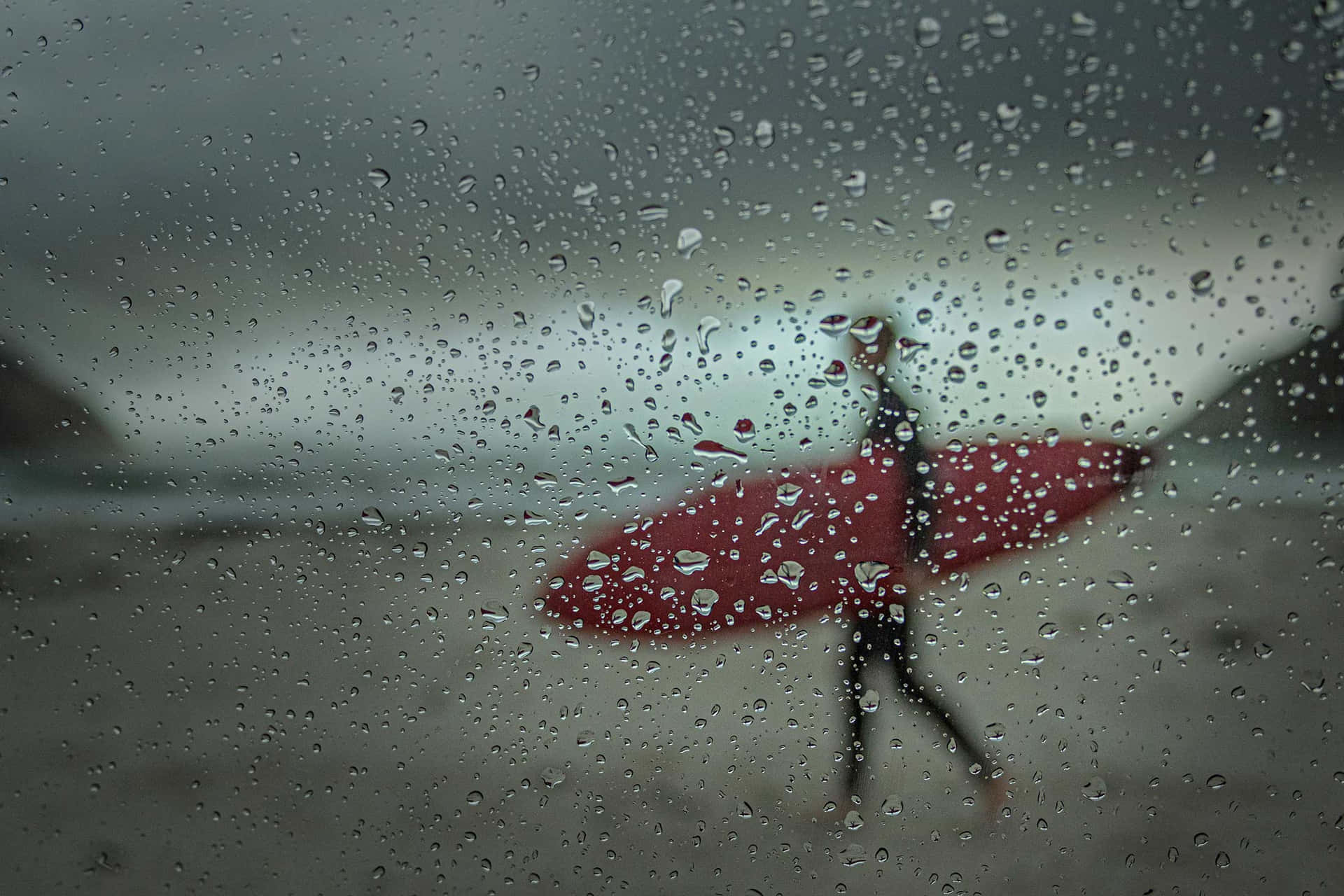 Rainy_ Window_with_ Red_ Leaf Wallpaper