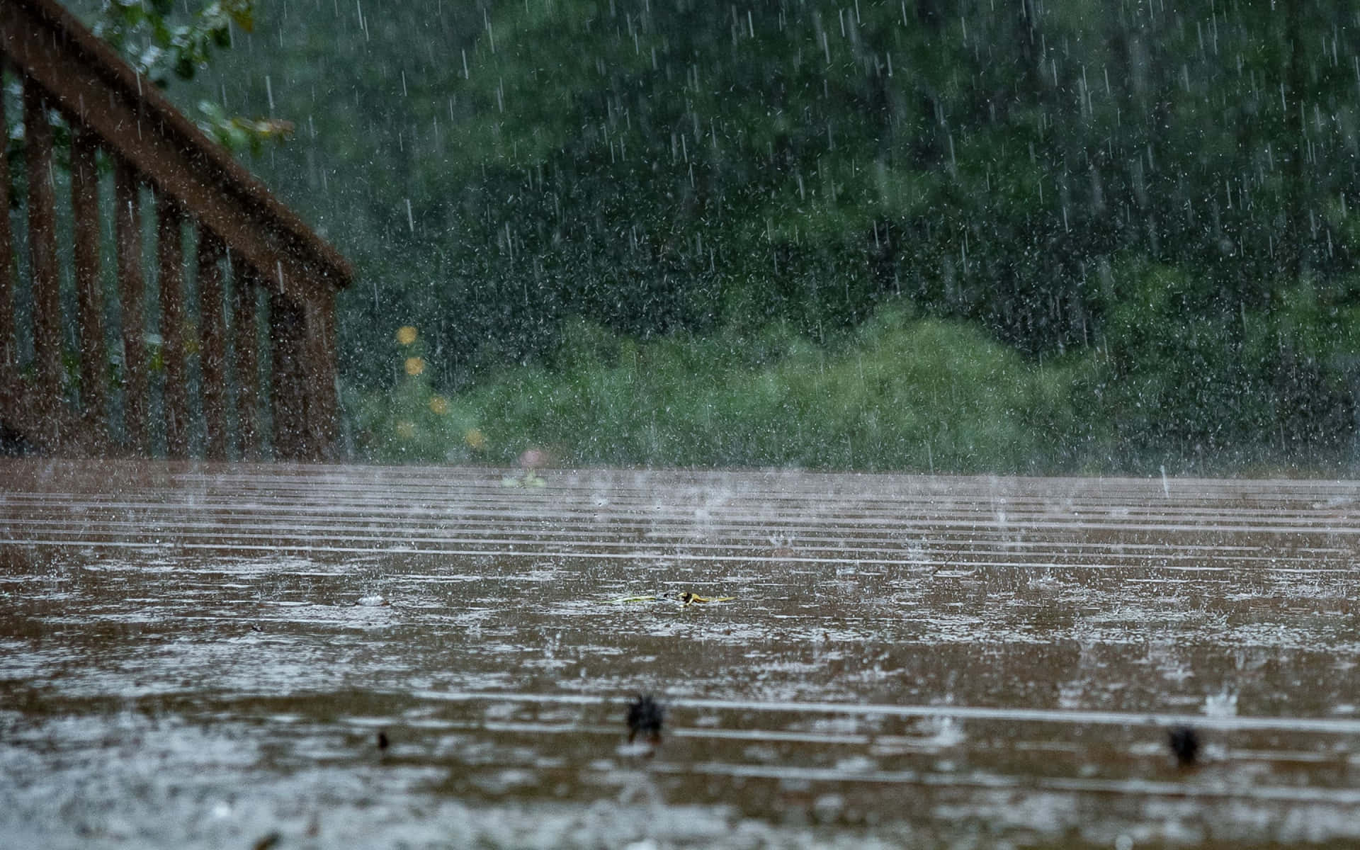 Rainy_ Wooden_ Deck_ Scene.jpg Wallpaper